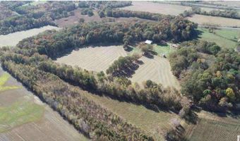 3480 Radio Rd, Almo, KY 42020