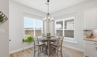 313 Tate Ln, Anna, TX 75409