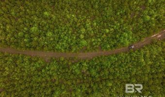 Flowers Road, Bay Minette, AL 36507