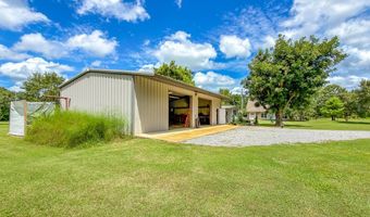 4437 Nicklesville Rd, Arlington, GA 39813