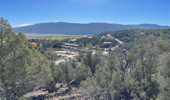 440 Run Around Rd, Arboles, CO 81121