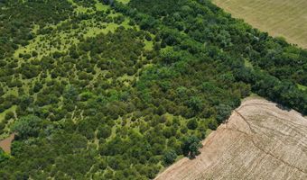 81 3+/- Acres SW Boyer Rd, Augusta, KS 67010