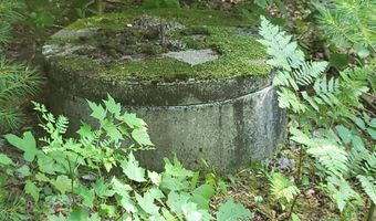 Lot39 Tripptown Road, Hiram, ME 04041