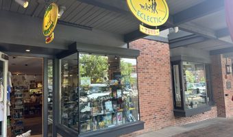 635 E Cooper Ave, Aspen, CO 81611
