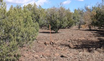 5079 N Pineveta Rd, Ash Fork, AZ 86320
