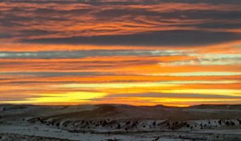 747 Upper Ruby Rd, Alder, MT 59755