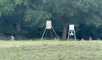 188 Fcr 941, Teague, TX 75860