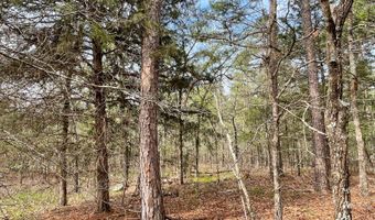 Lot 31-33 Whispering Pines Way, Antlers, OK 74523