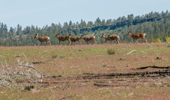 10771 E Langell Valley Rd, Bonanza, OR 97623