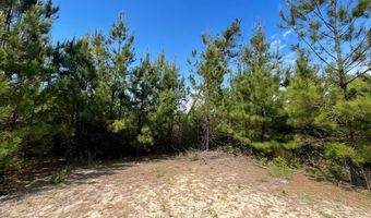 Broadview Avenue, Alford, FL 32420