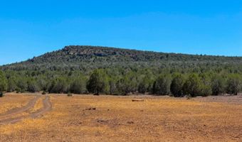Stagecoach Dr 47 Acres, Ash Fork, AZ 86320