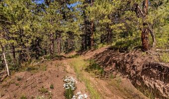 County Rd 46, Aguilar, CO 81020