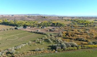 10341 Tongue Creek Rd, Austin, CO 81410