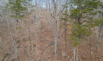 Fox Hollow Lane, Andersonville, TN 37705
