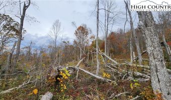 A18 Meadow Ave Loop, Banner Elk, NC 28604