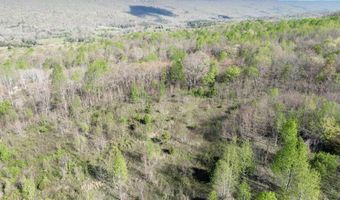 10 Acres County Road 792, Flat Rock, AL 35966