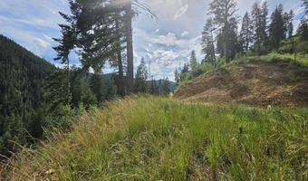 480 Dunn Peak Rd, Avery, ID 83802