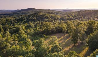 200 TABLEE LANE Lot 17.65, Ashland, AL 36251