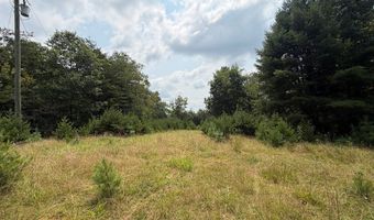 Hall Hollow Road, Austinville, VA 24312