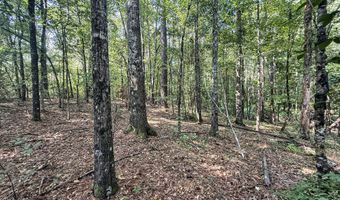 2435 Brignall Rd, Brookhaven, MS 39601