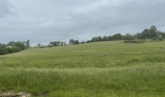 1007 S Jefferson St 1, Ava, MO 65608