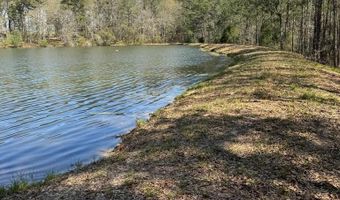 2584 County Road 6647, Banks, AL 36005