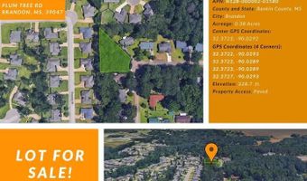 136 Plum Tree Rd, Brandon, MS 39047