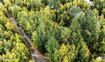 Lot 102 Nw Loc Sault Avenue, Anchorage, AK 99516