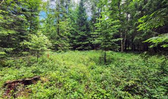 13727 Big Hawk Dr, Bigfork, MT 59911