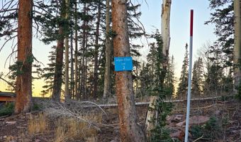 289 N Summit Dr, Beaver, UT 84713