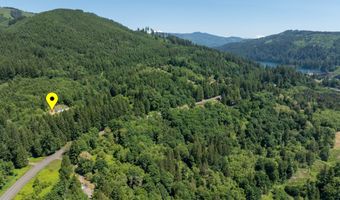 5530 LEWIS RIVER Rd, Ariel, WA 98603