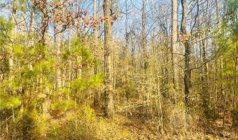 Cyrpess Point Drive, Akron, AL 35441