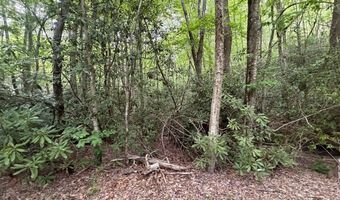 Warrior Way lot 9 & 17, Andrews, NC 28901