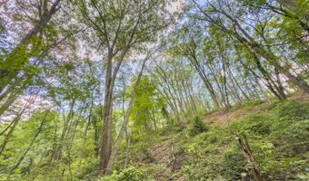 1393 Woodland Mountain Trl, Augusta, WV 26704