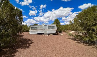 Tbd County Rd N8157, Concho, AZ 85924
