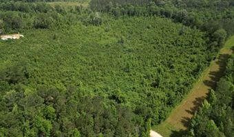 Co Rd 2337, Bay Springs, MS 39422