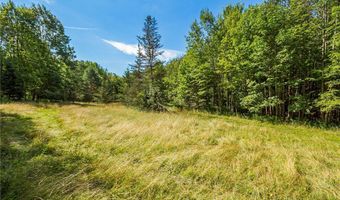 9545 Redman Rd, Alden, NY 14735