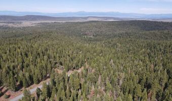 California Pines Boulevard, Alturas, CA 96101