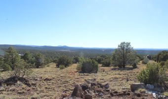 6 County Road 8052, Concho, AZ 85924