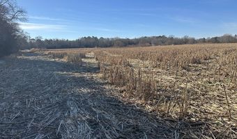 0 Bivalve Lodge Rd, Bivalve, MD 21814