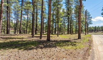 841 Beaver Creek Dr, Bayfield, CO 81122