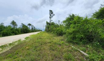 0 Edison St Lot 114, Alford, FL 32420