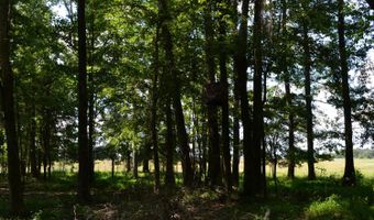 0 County Rd 22, Auburn, AL 36830