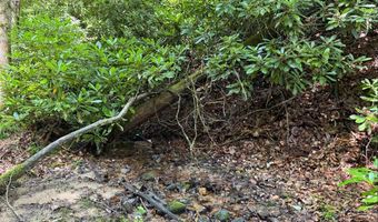 Tdb Cove Creek Rd, Bastian, VA 24314