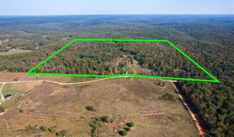 2300 CR 149, Alton, MO 65606