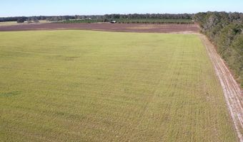 72 Nw Pl, Bell, FL 32619