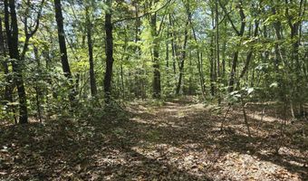 HURT HOLLOW RD, Banco, VA 22711