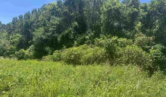 HIGHWAY 431 lot 0, Alexandria, AL 36250