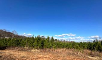 0 Lot 2B Police Tower Rd Lot 2B, Appomattox, VA 24522