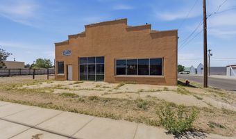 601 W Holland Ave, Alpine, TX 79830
